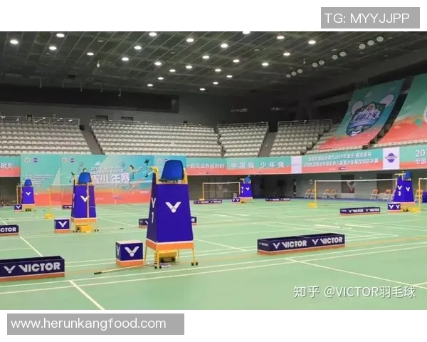 北京羽毛球队挑战赛特别报道：转型之路上的奋斗与希望