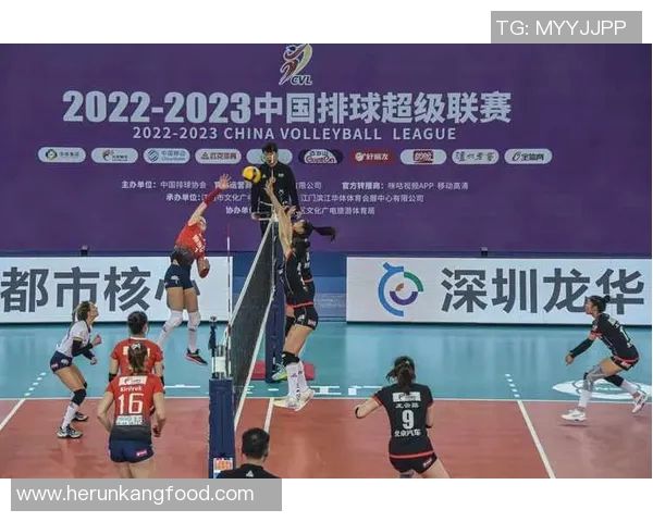 深圳排球队节奏之争引发热议球迷与专家观点碰撞分析